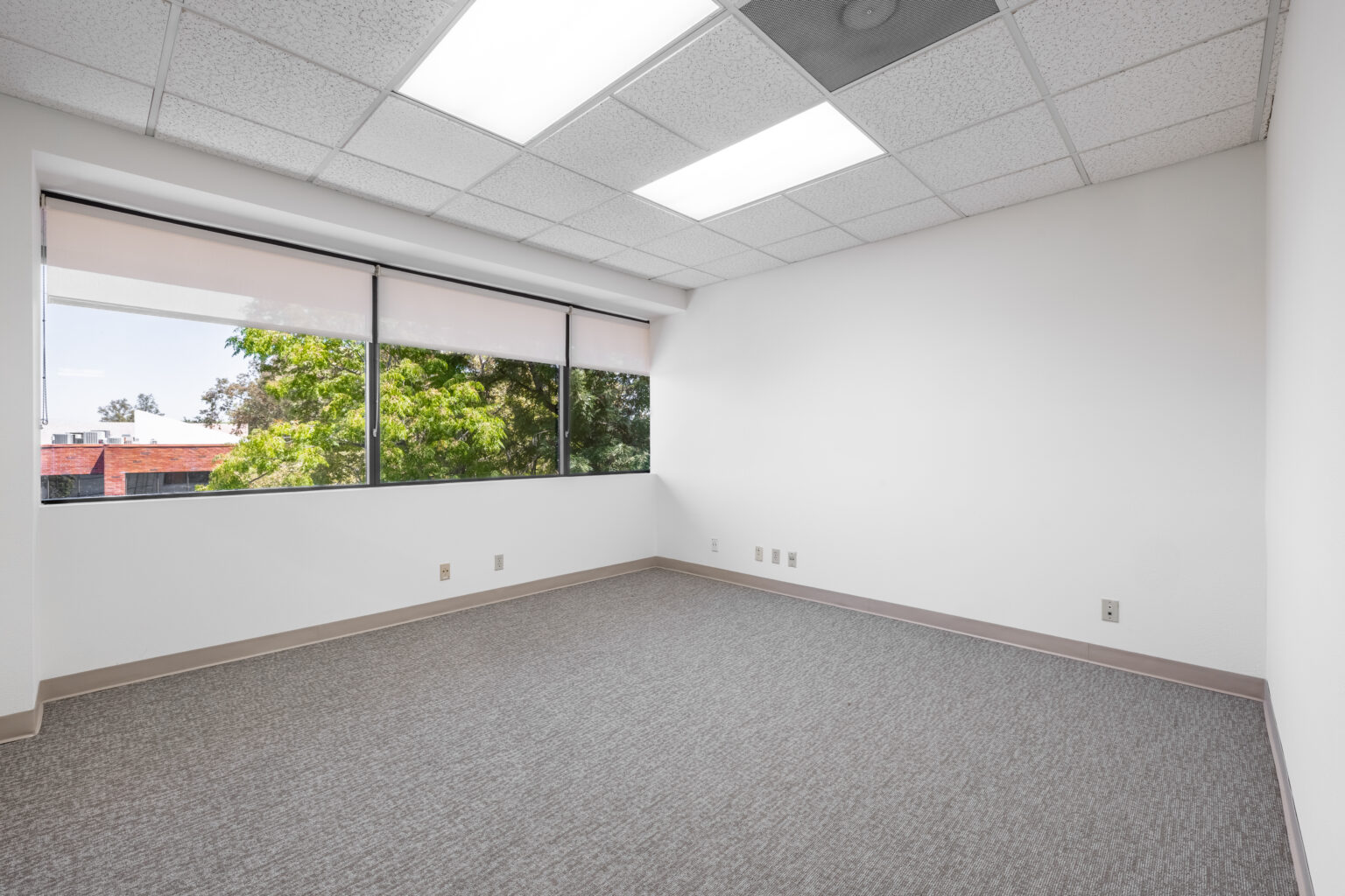 Empty carpeted office with large window and drop ceiling