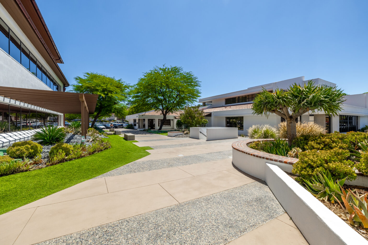 Outdoor walkway with modern landscaping and stone path